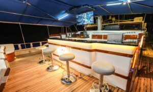 Luna Yachting Gulet Tarkan 5 43